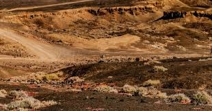 杜兰特意想不到的发火，掀起巨大连锁反应